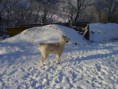 /album/fotogaleria/mix-123-jpg/